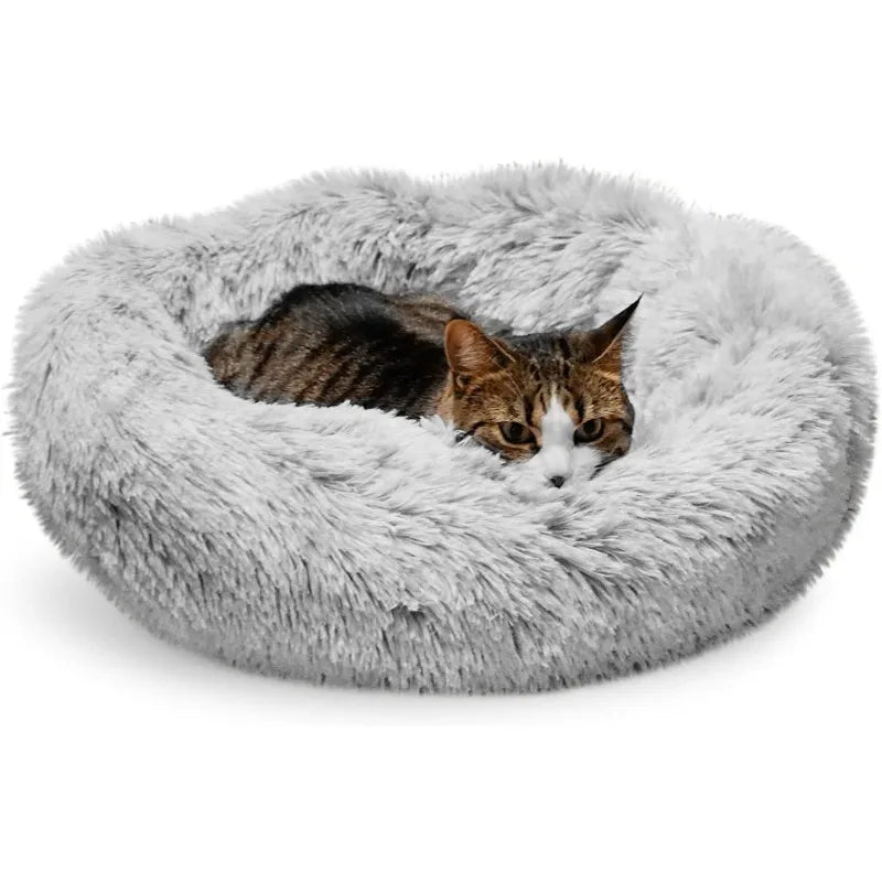 Washable Beds for Indoor Pets
