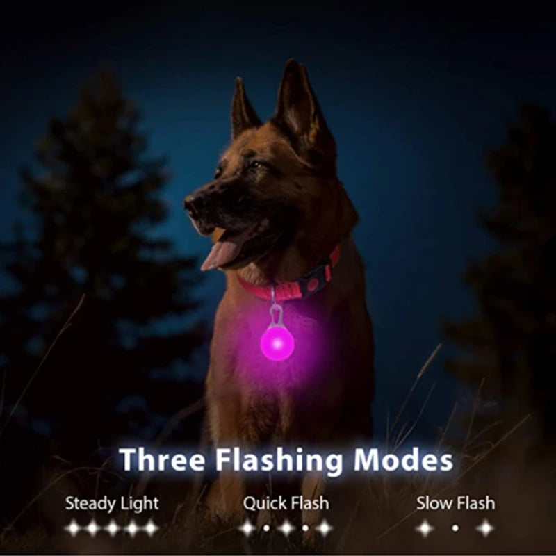LED Pet Glowing Pendant Collar