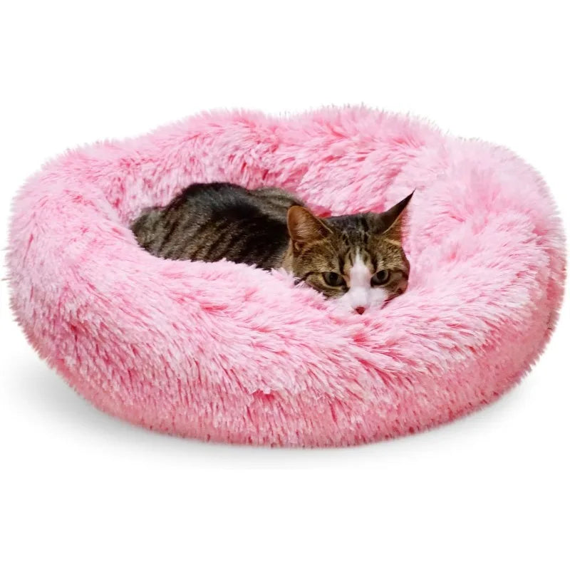 Washable Beds for Indoor Pets
