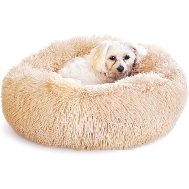 Washable Beds for Indoor Pets
