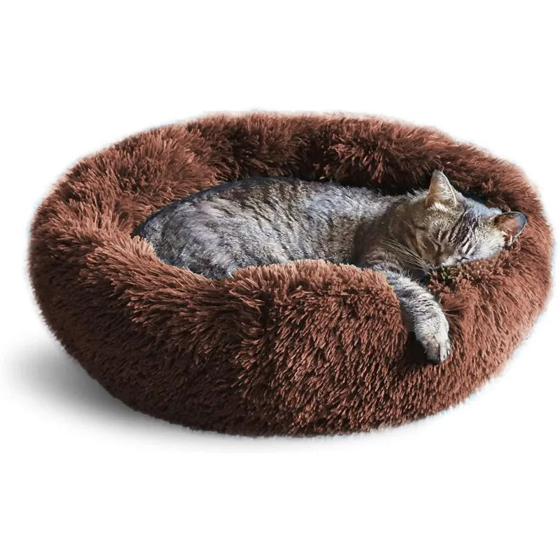 Washable Beds for Indoor Pets