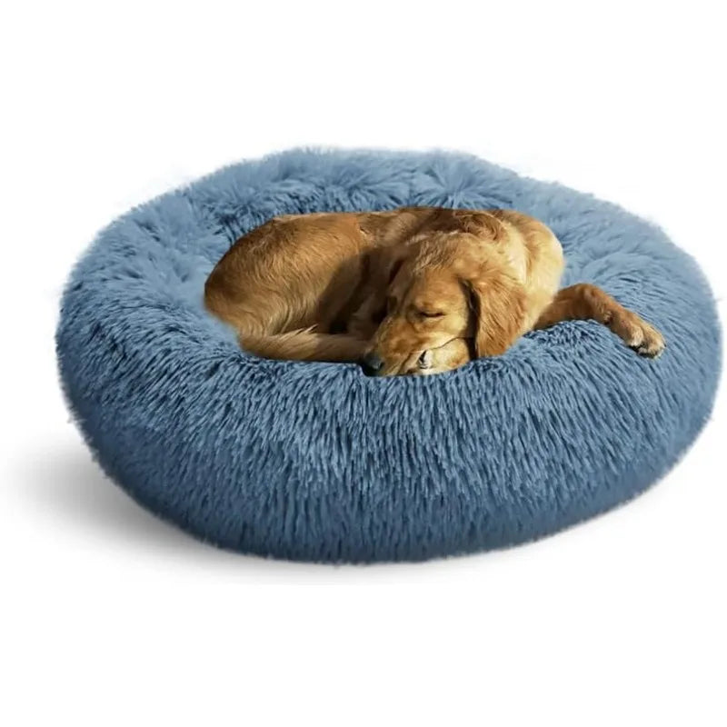 Washable Beds for Indoor Pets