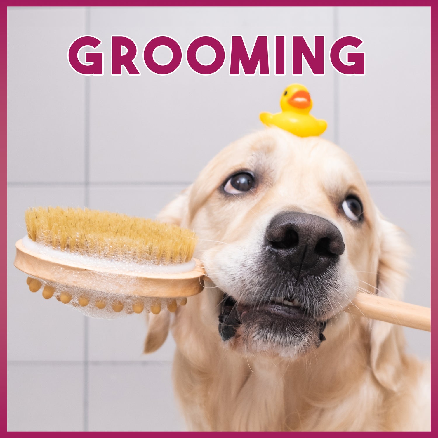 Grooming