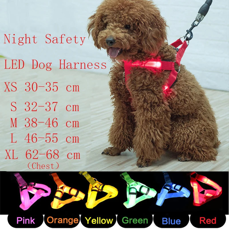 LED Dog Harness