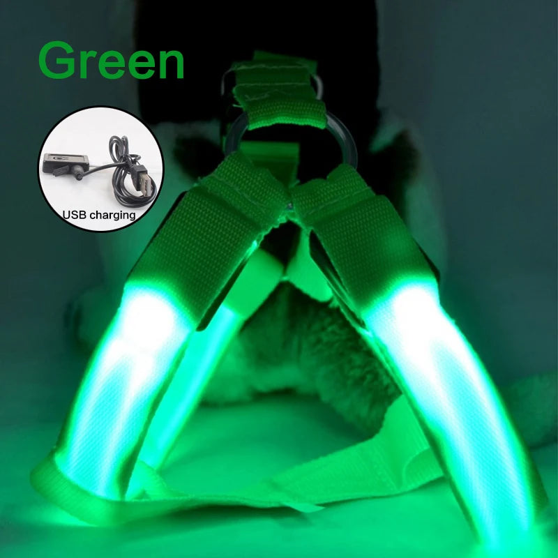 LED Dog Harness