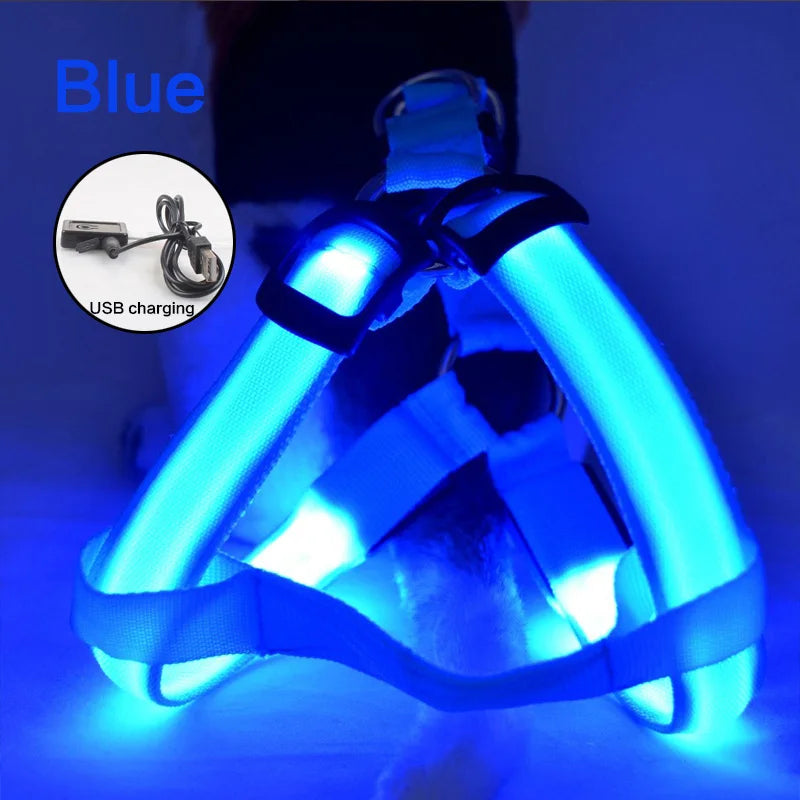 LED Dog Harness