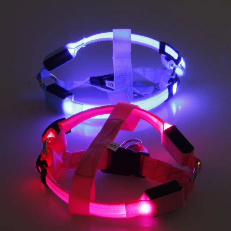 LED Dog Harness