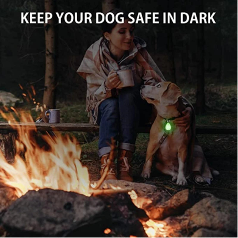 LED Pet Glowing Pendant Collar