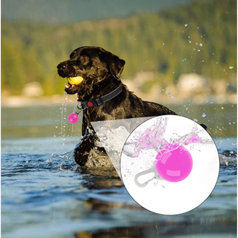 LED Pet Glowing Pendant Collar