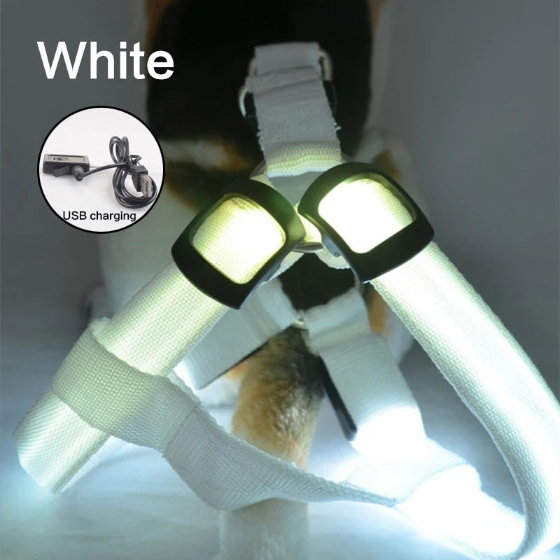 LED Dog Harness