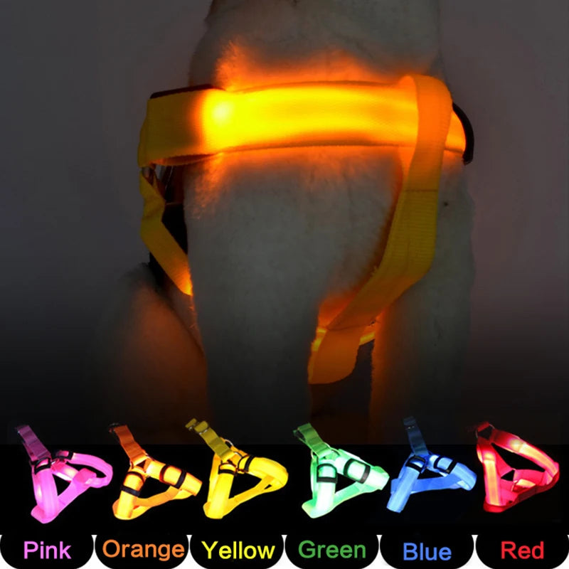 LED Dog Harness