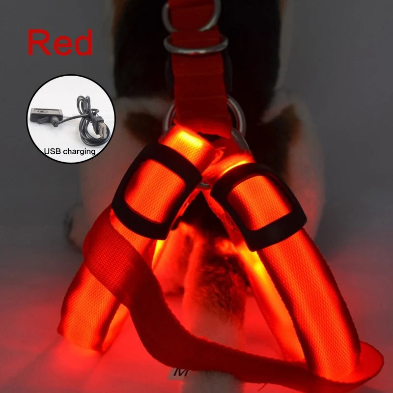 LED Dog Harness