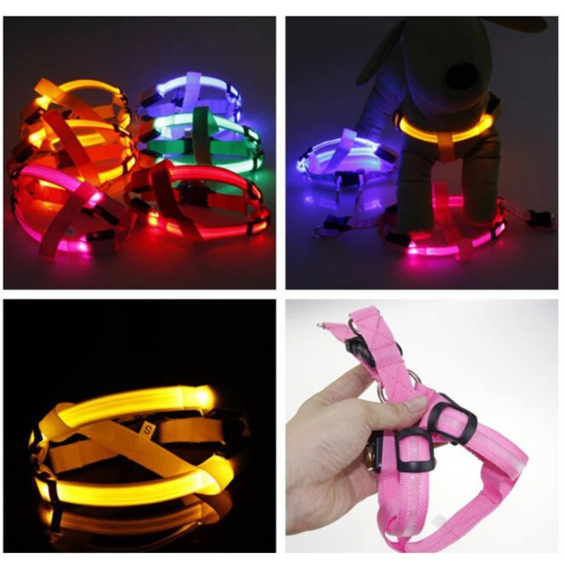 LED Dog Harness