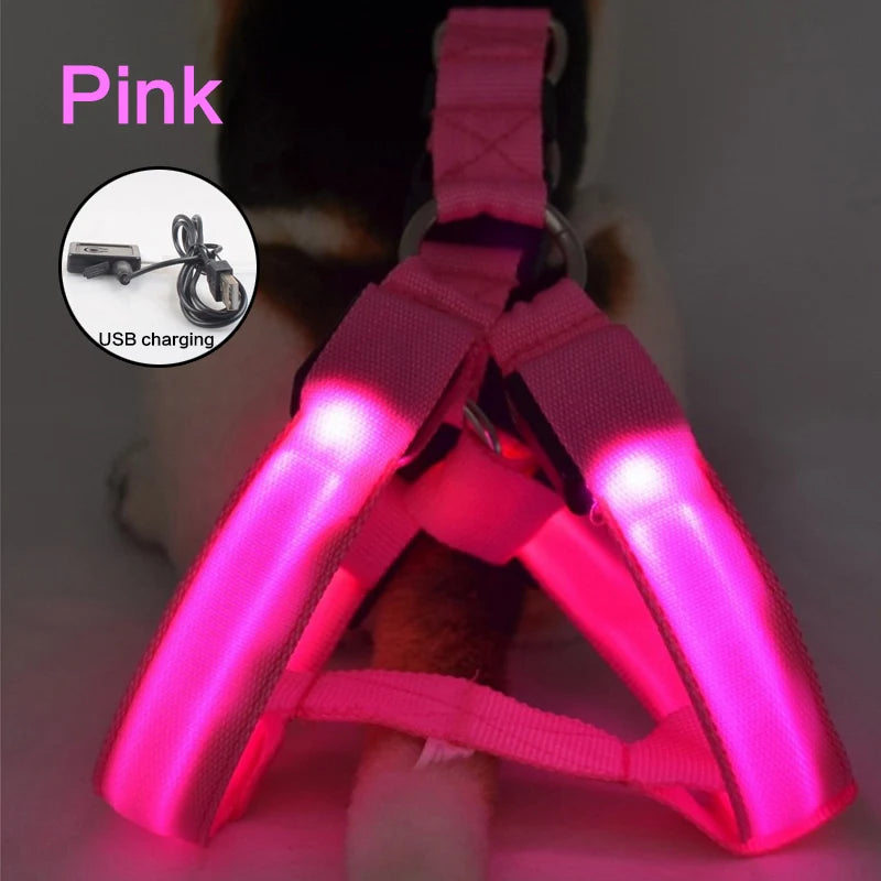 LED Dog Harness