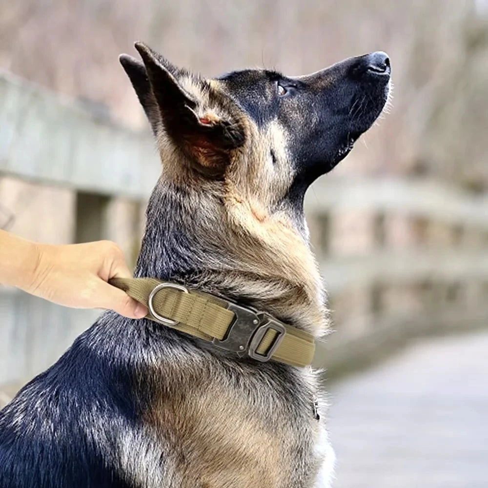 Dog Collar Military Adjustable