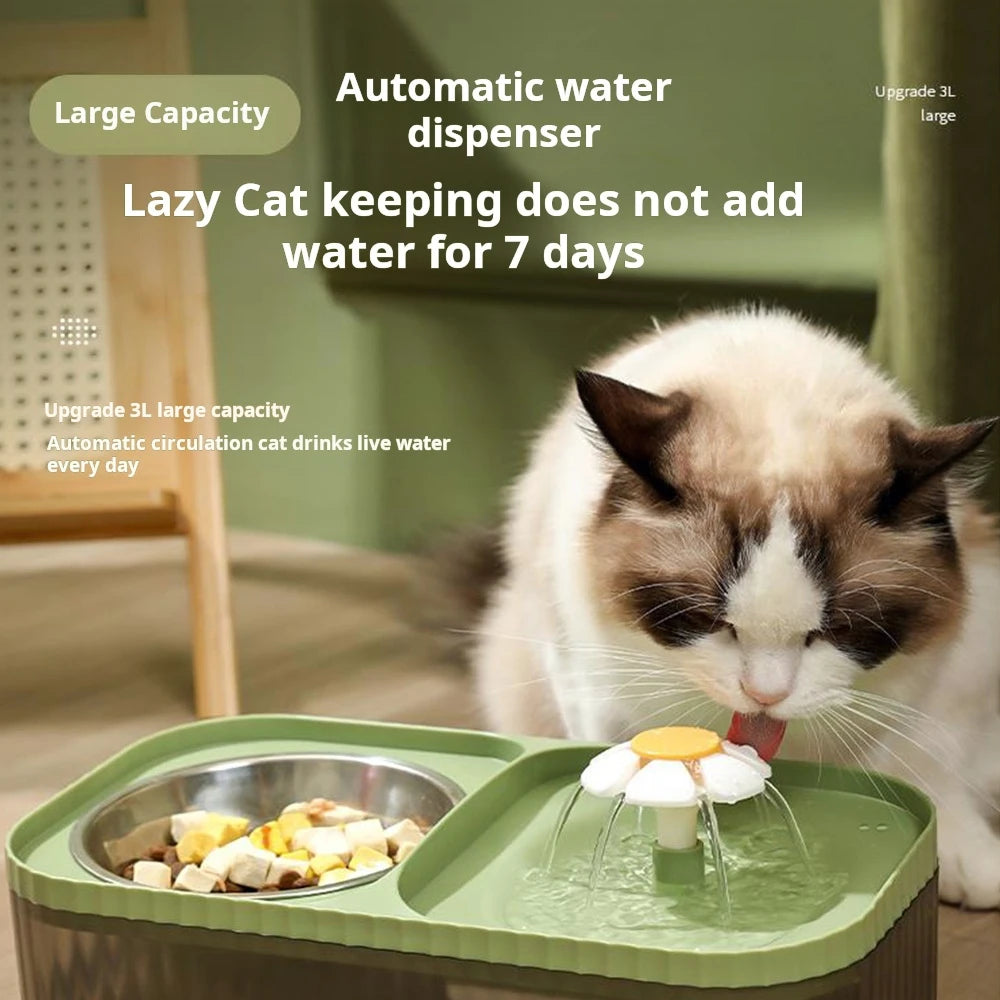 Pet Automatic Drinker Feeding Bowl