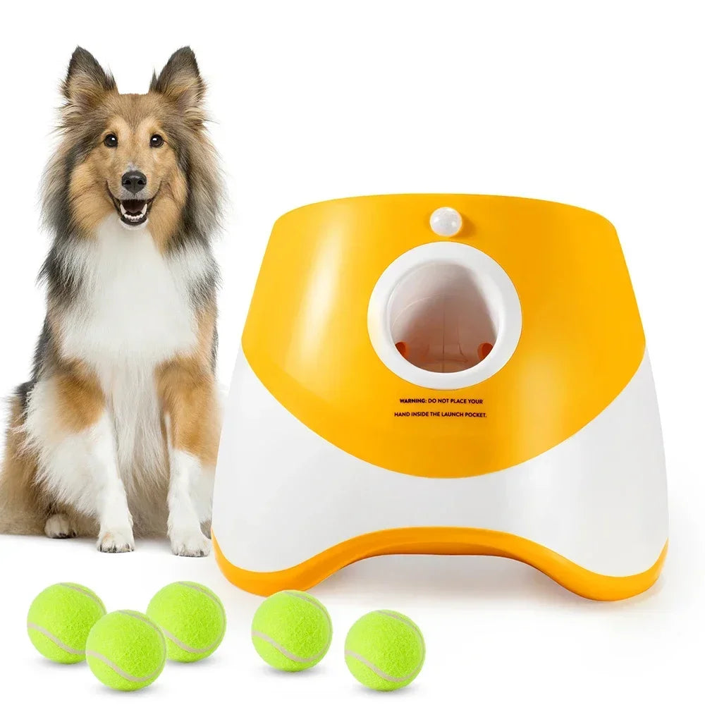 Automatic Ball Launcher for Dogs