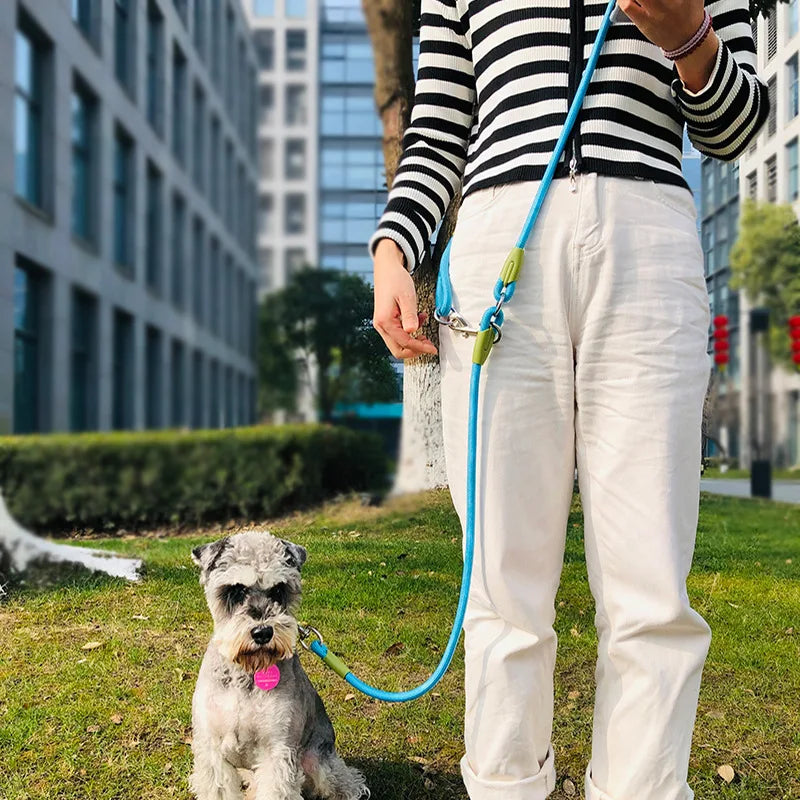 Pet Nylon Leash