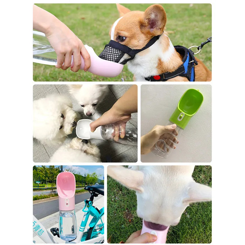 Portable Water Bottle Feeder