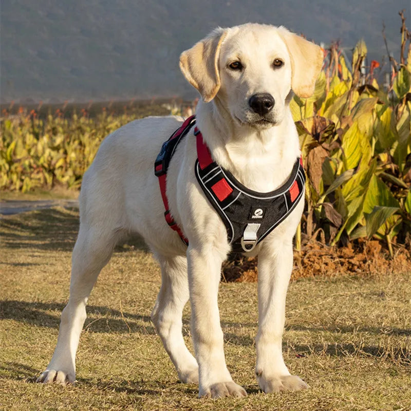 Adjustable Chest Vest Harness