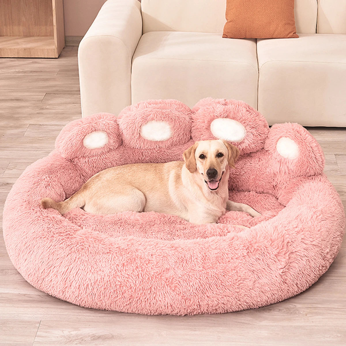 Pet Sofa