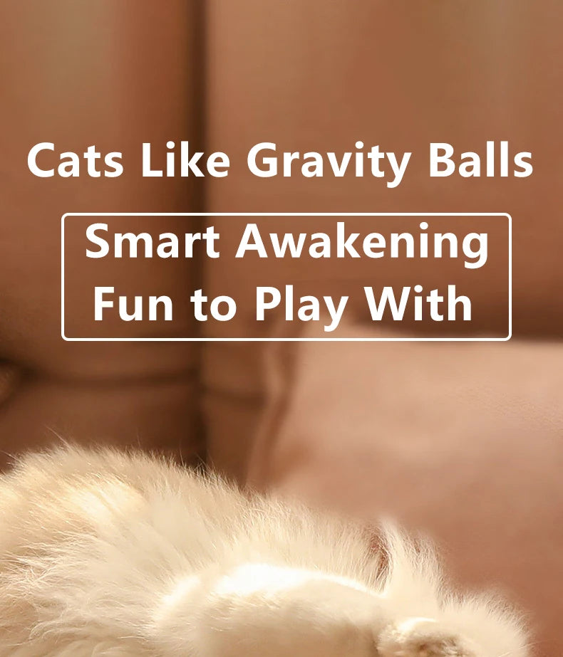 Cat Interactive Ball