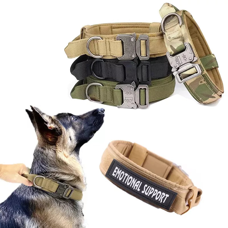 Dog Collar Military Adjustable