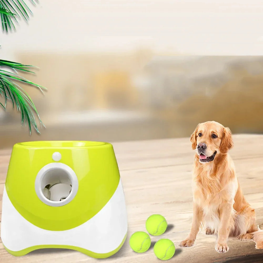 Automatic Ball Launcher for Dogs