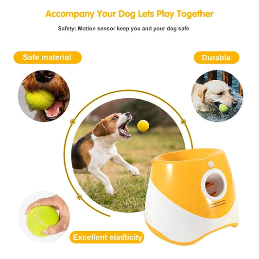 Automatic Ball Launcher for Dogs