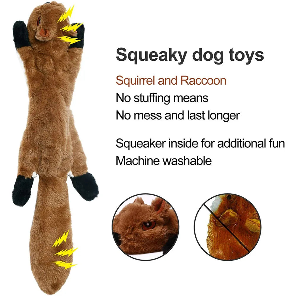 Squeaky Dog Toy