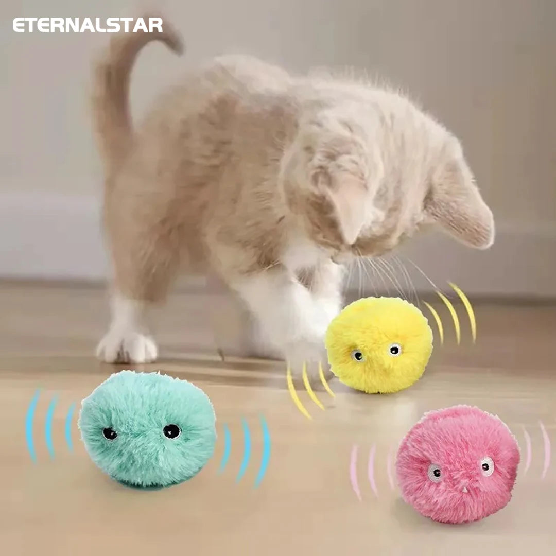 Smart Cat Ball