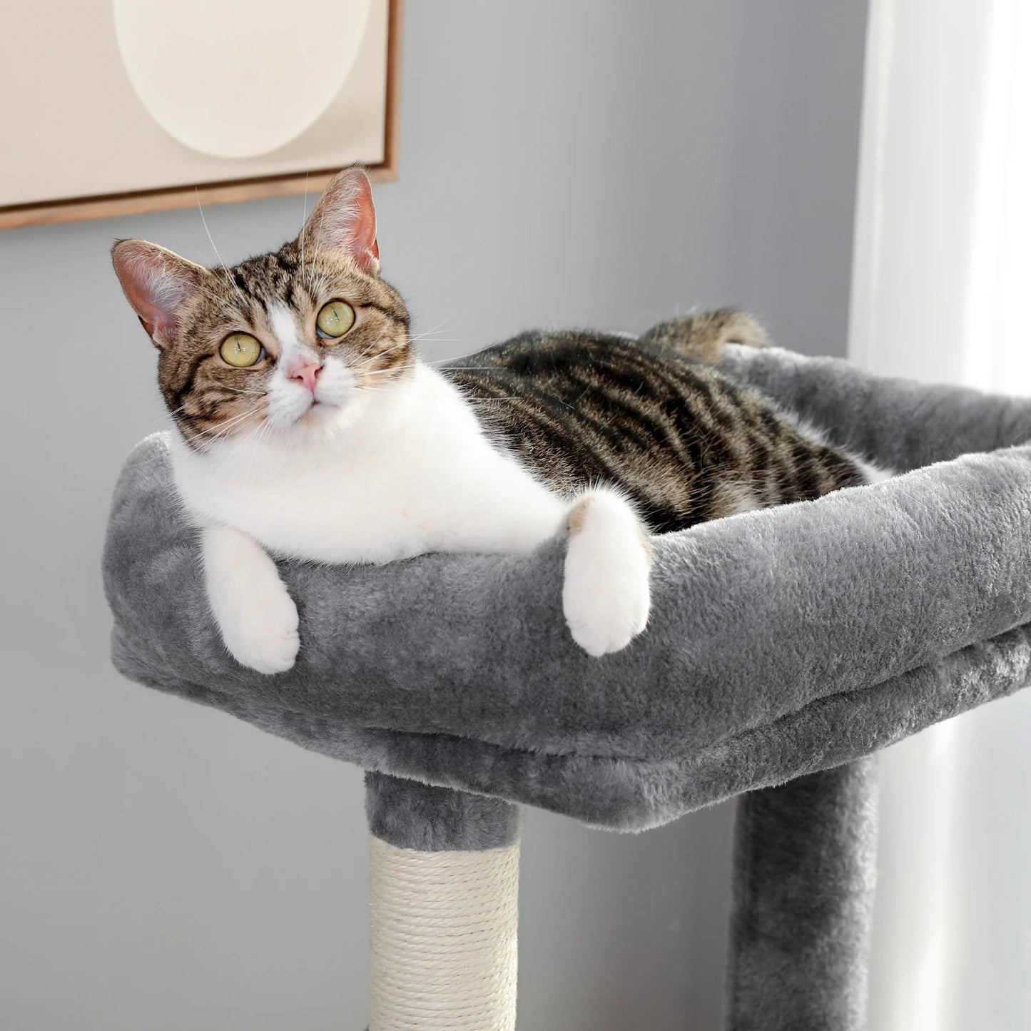 Cat Tree Scratch Toy