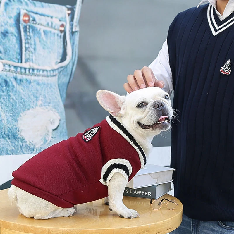 Warm Dog Sweater for Winter