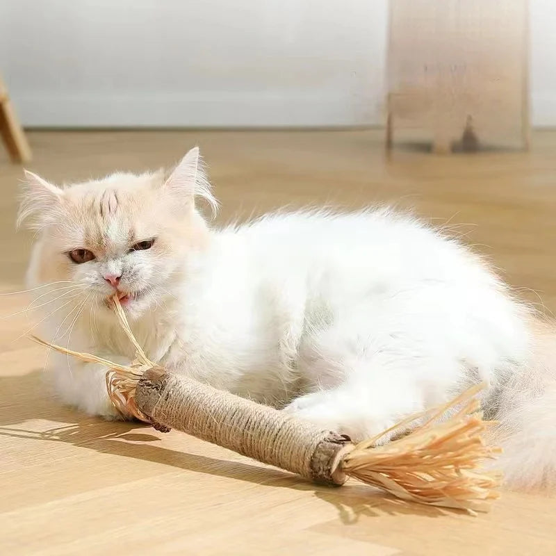 Catnip Cat Toy Sticks