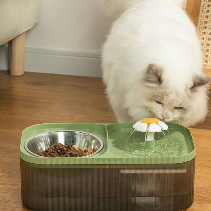 Pet Automatic Drinker Feeding Bowl