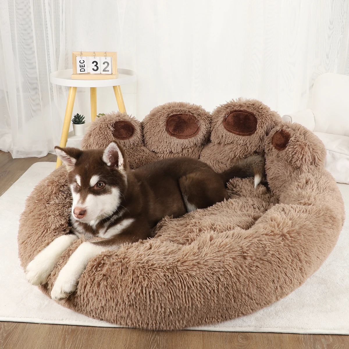 Pet Sofa