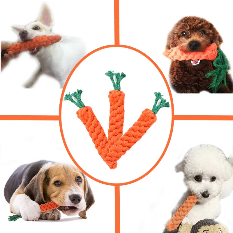 Dog Chew Carrot