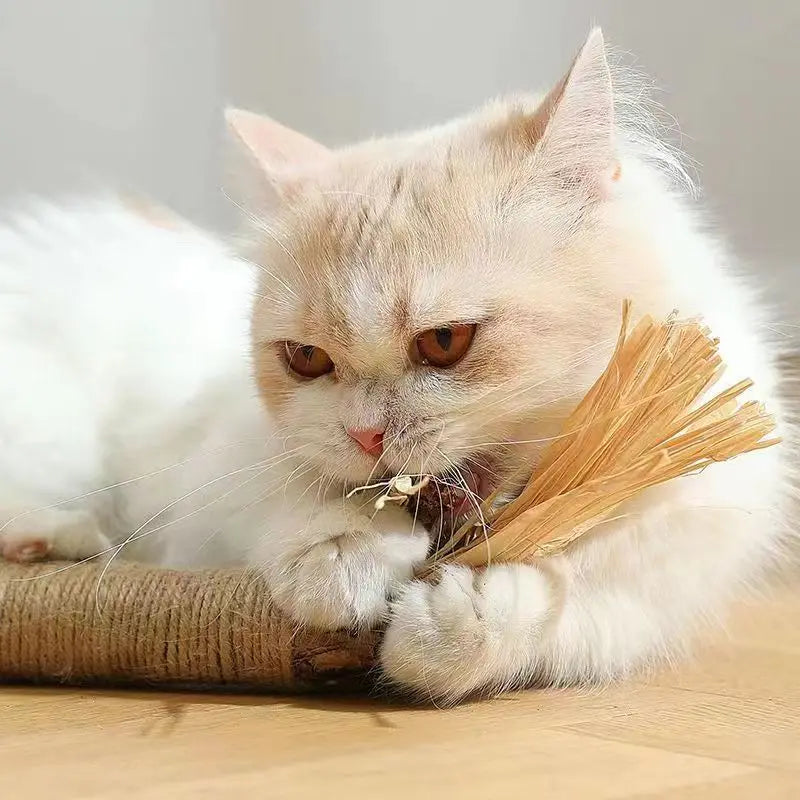 Catnip Cat Toy Sticks