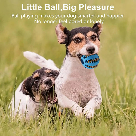 Interactive Toy Ball for Dogs