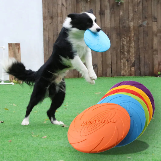 Training Flying Frisbee