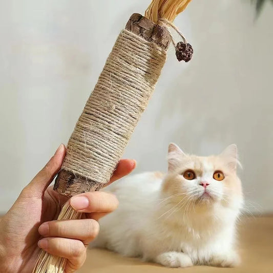 Catnip Cat Toy Sticks