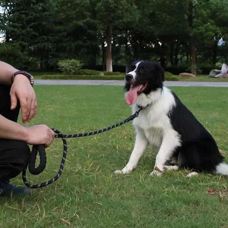 Pet Reflective Nylon Leash