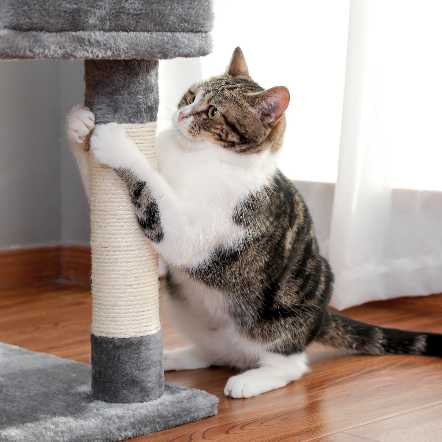 Cat Tree Scratch Toy