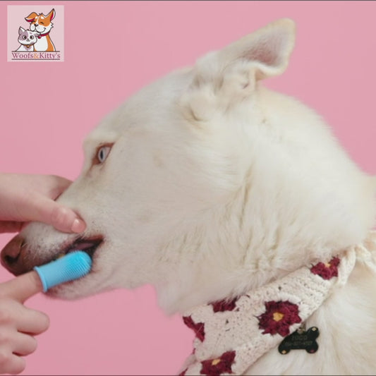 Soft Pet Finger Toothbrush